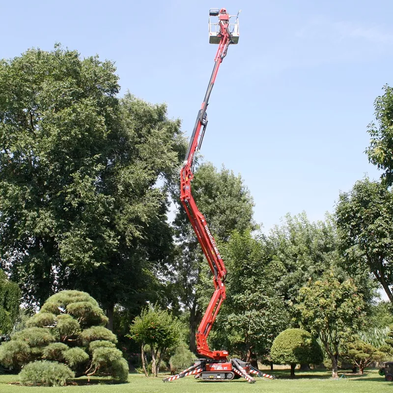 Hinowa Goldlift 17.80 for hire